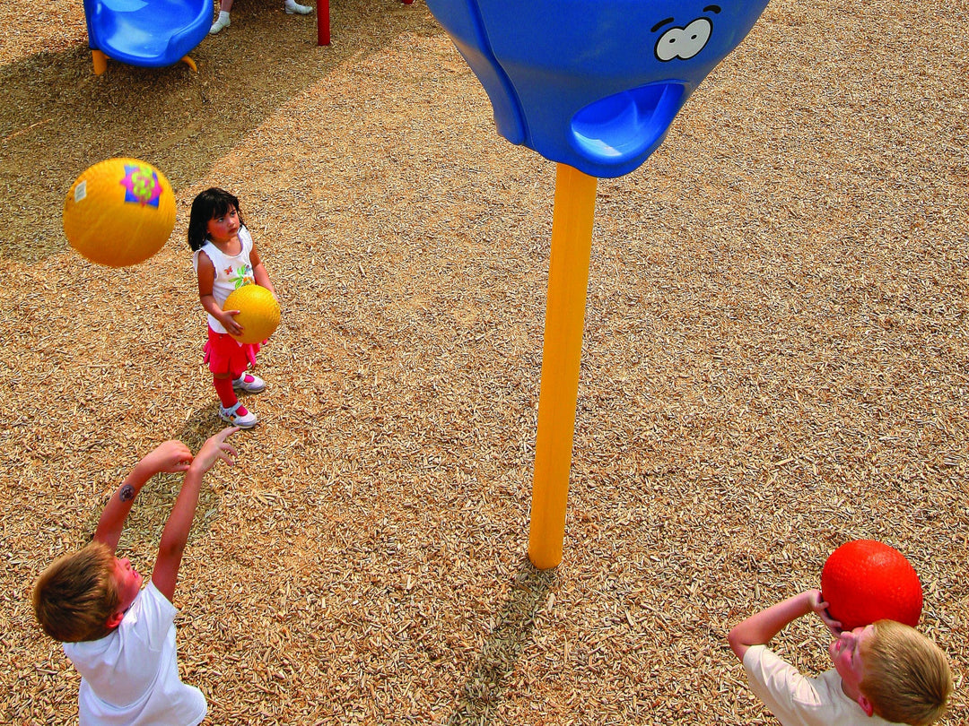 Sports & Ball Pits
