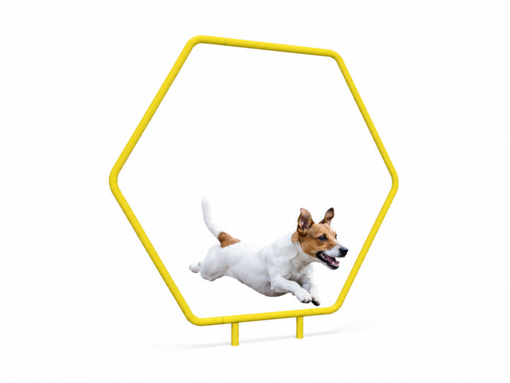 Dog Hoop