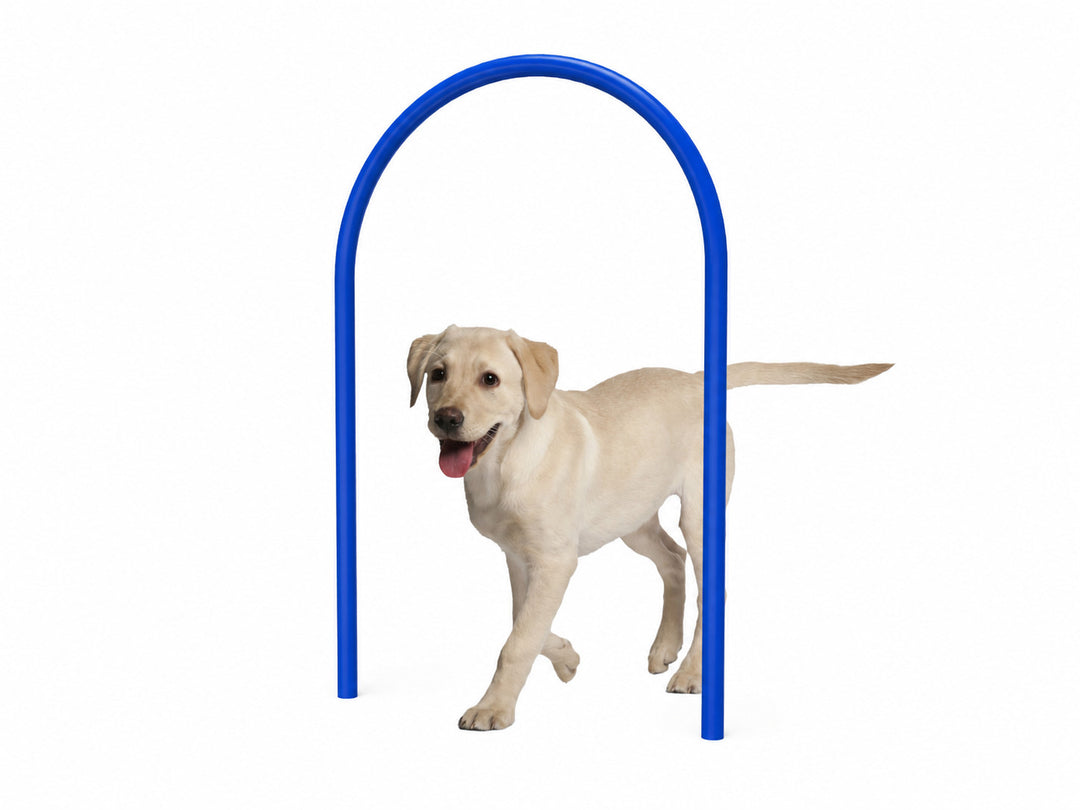 Dog Loop