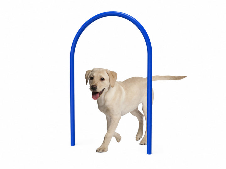 Dog Loop