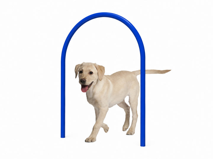 Dog Loop